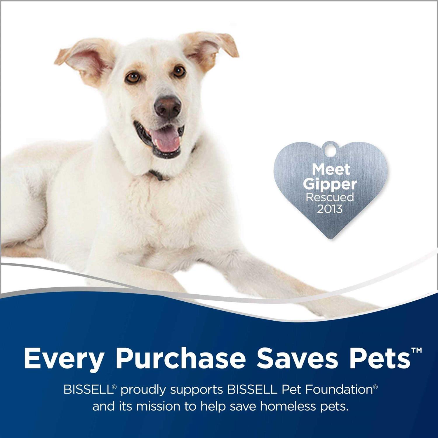 Bissell Pet Hair Eraser Turbo Plus - Image 4