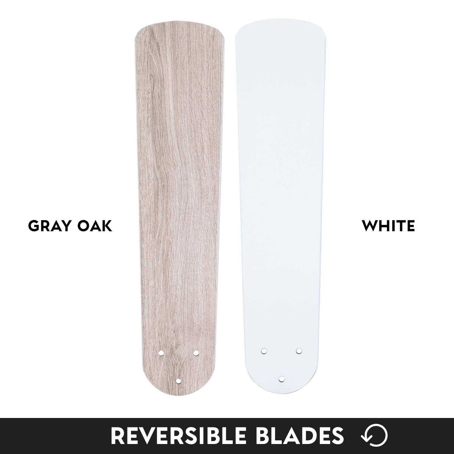 Prominence Home Renton Ceiling Fan - Image 4