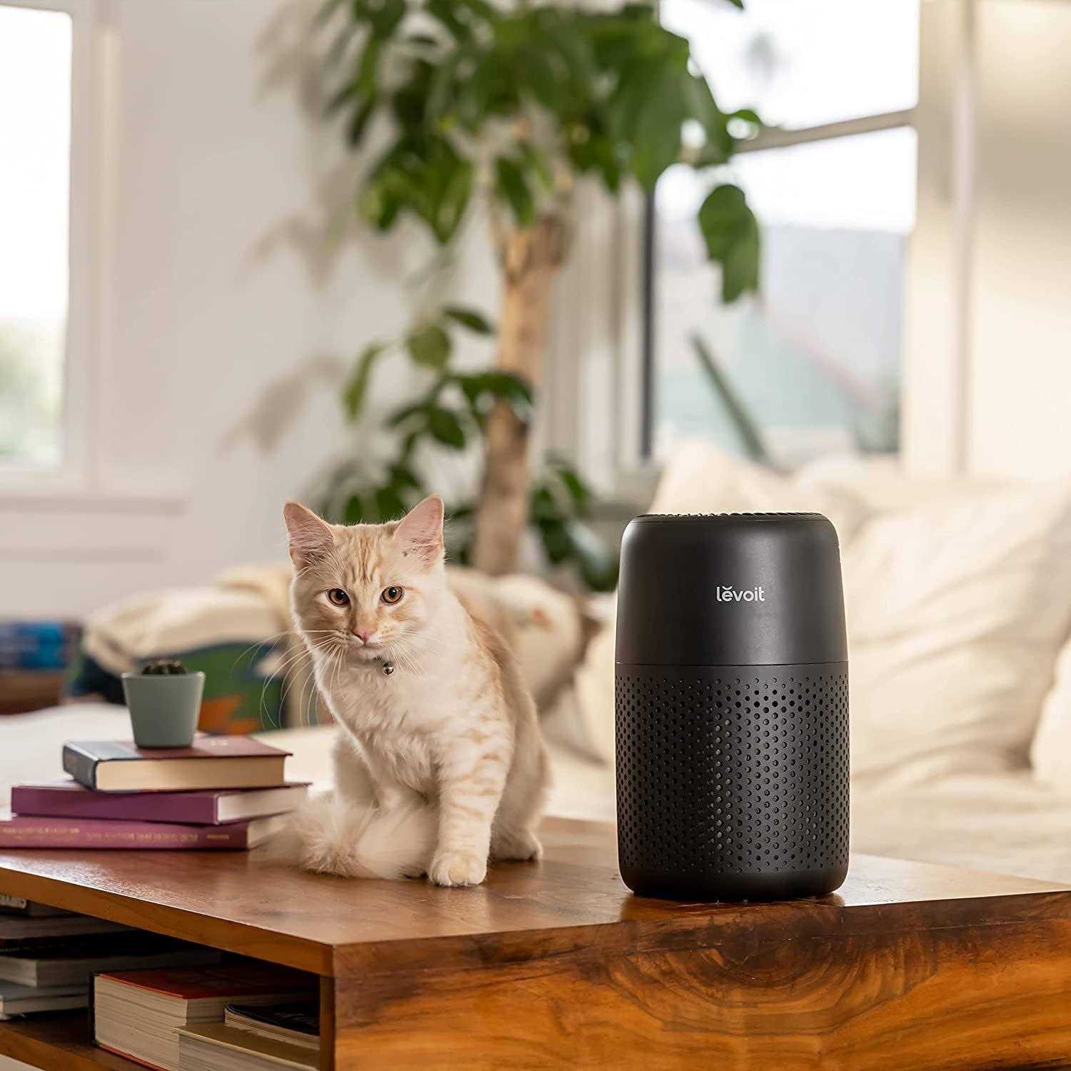 Levoit True HEPA Air Purifier - Image 5