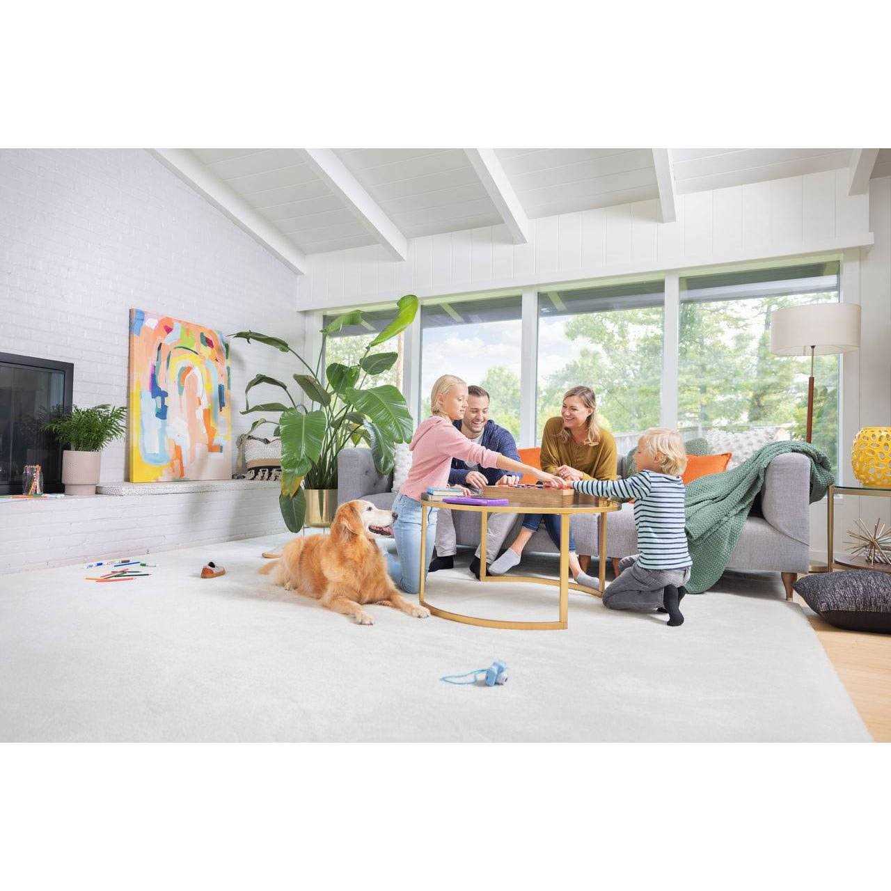 Bissell Revolution HydroSteam Pet Carpet Cleaner - Image 4