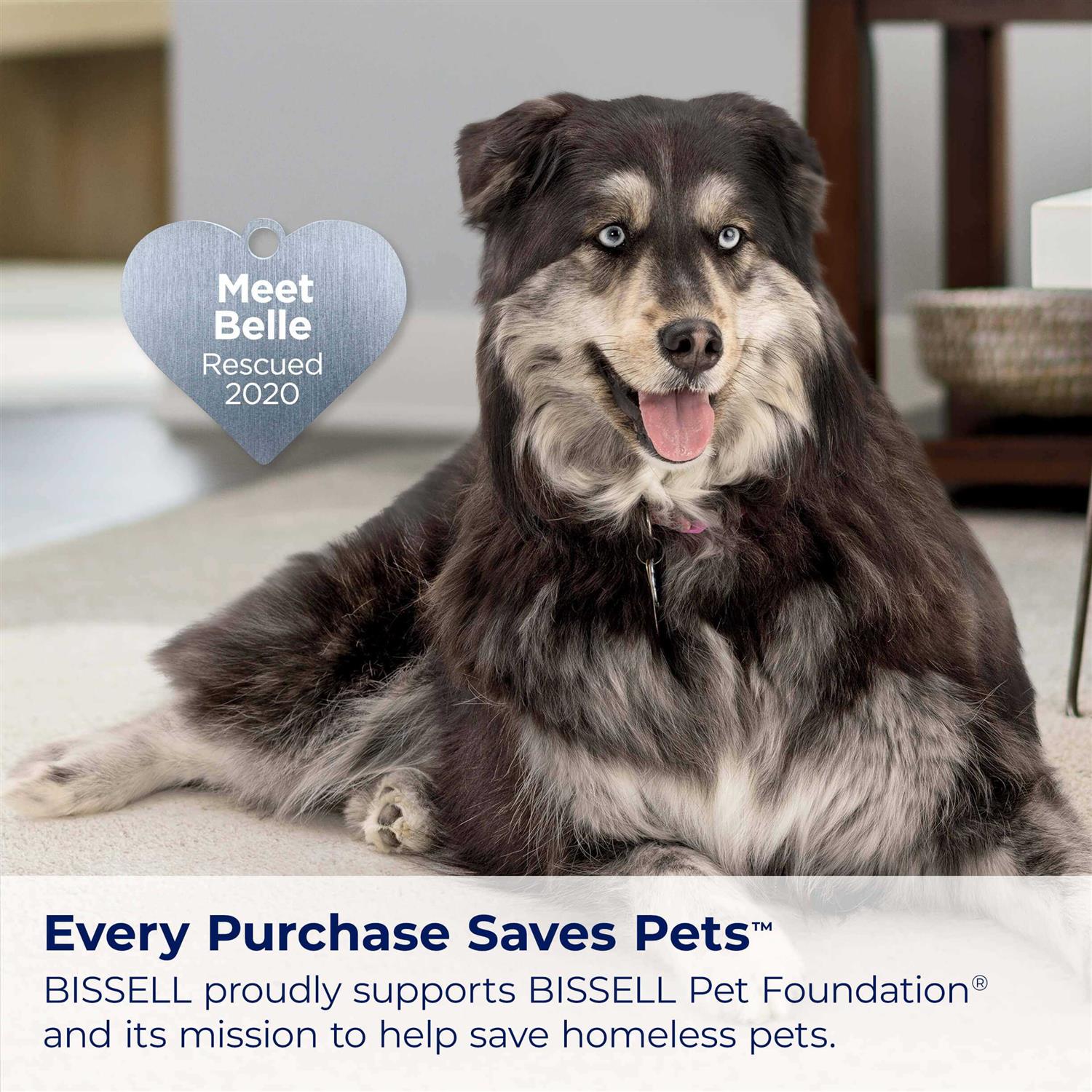 BISSELL Pet Hair Eraser Turbo Lift-Off Bagless Vacuum 3774F - Image 3