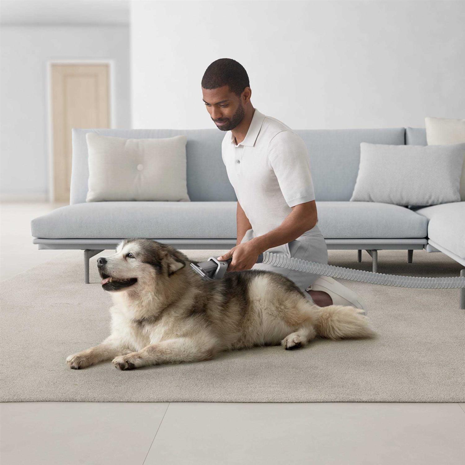 Dyson Ball Animal 3 - Image 5