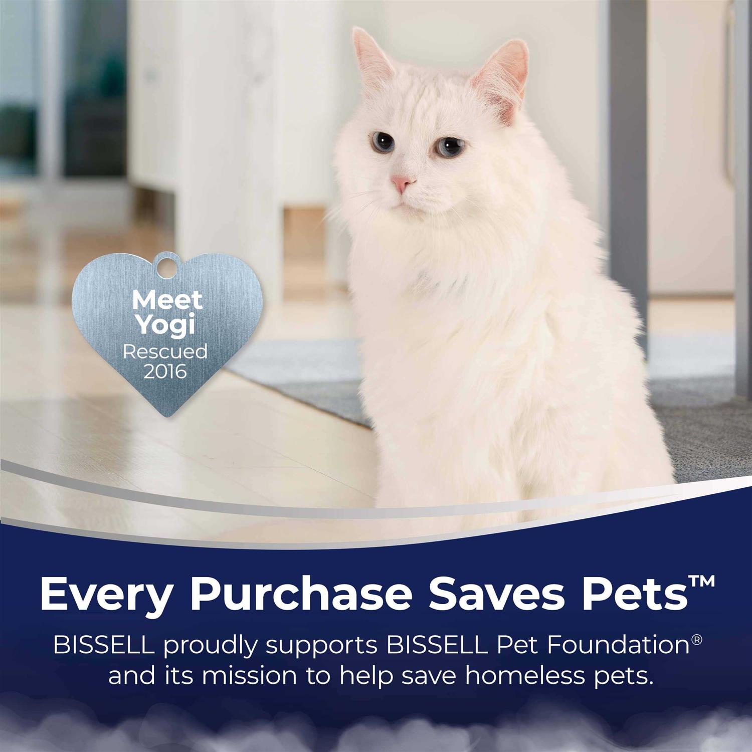 Bissell CrossWave HydroSteam Multi-Surface Wet Dry Vacuum - Image 5