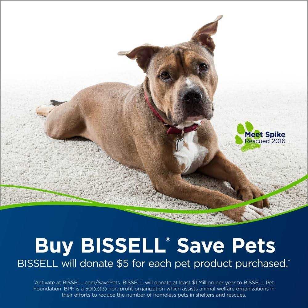 BISSELL Powerlifter Swivel Pet Vacuum Cleaner - Image 4