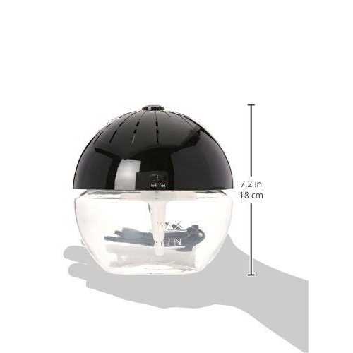 EcoGecko Earth Globe - Image 4