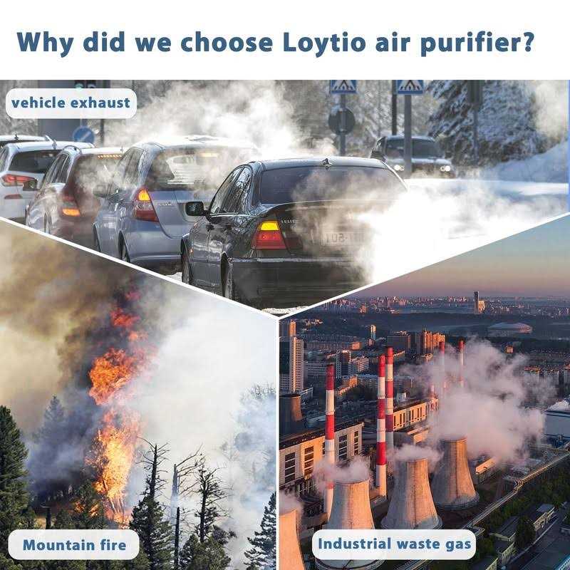 Loytio Air Purifiers for Bedroom HEPA Air Purifier with Aromatherapy Function - Image 5