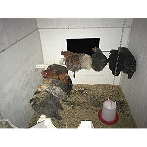 H&G lifestyles Chicken Coop Heater Radiant Heat Warmer Cozy Chicken Coop for Winter Energy Efficient Design Safer Than Brooder Lamps 120W - Image 5