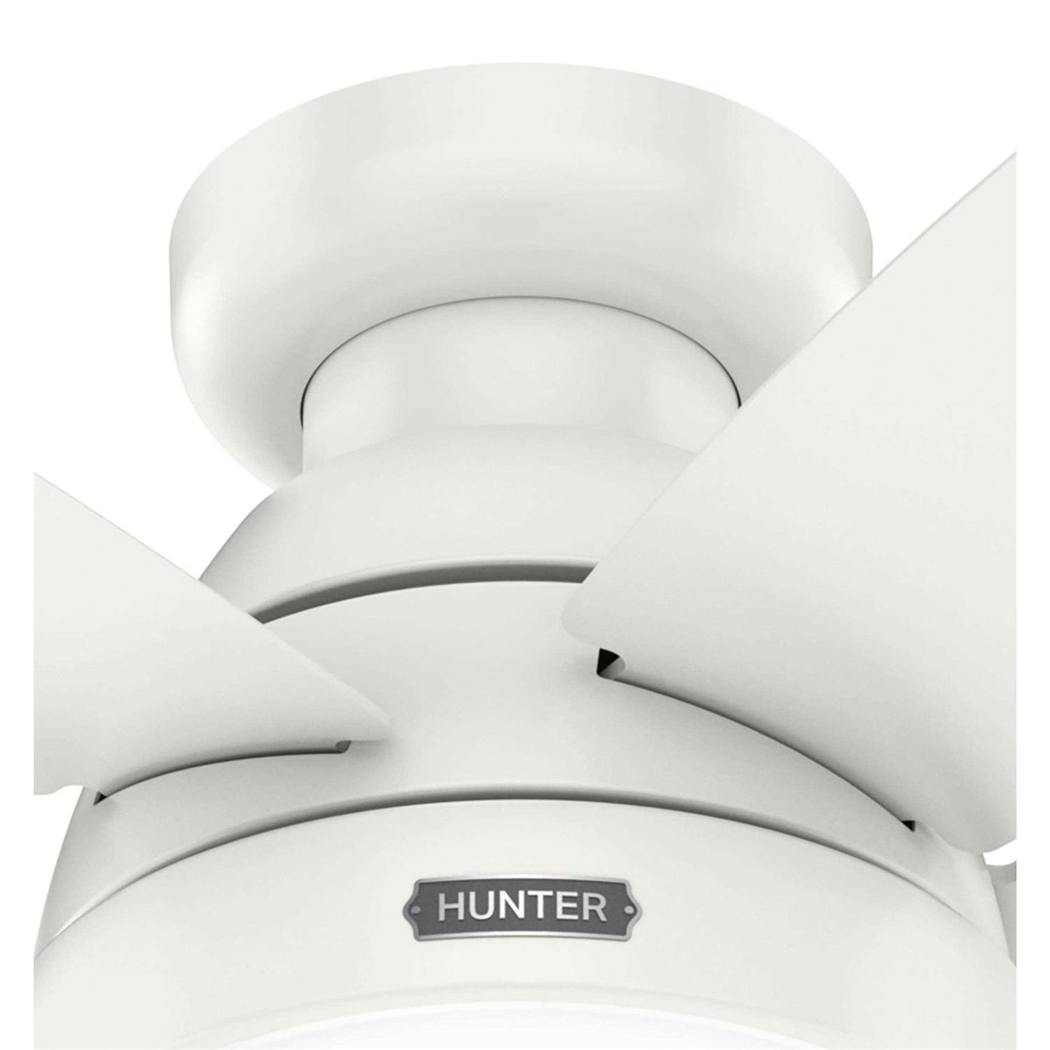Hunter Fan Lilliana Ceiling Fan with Light - Image 4