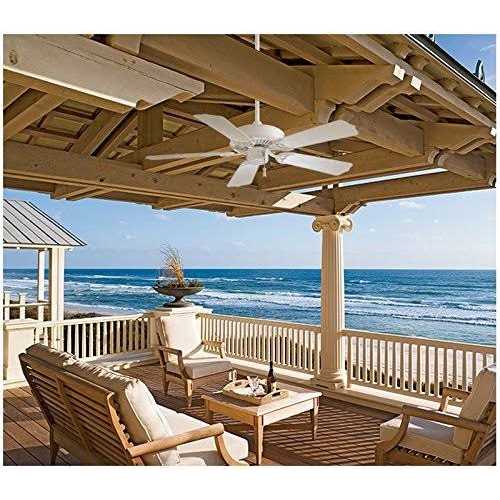 Minka-Aire Sundance - Image 3