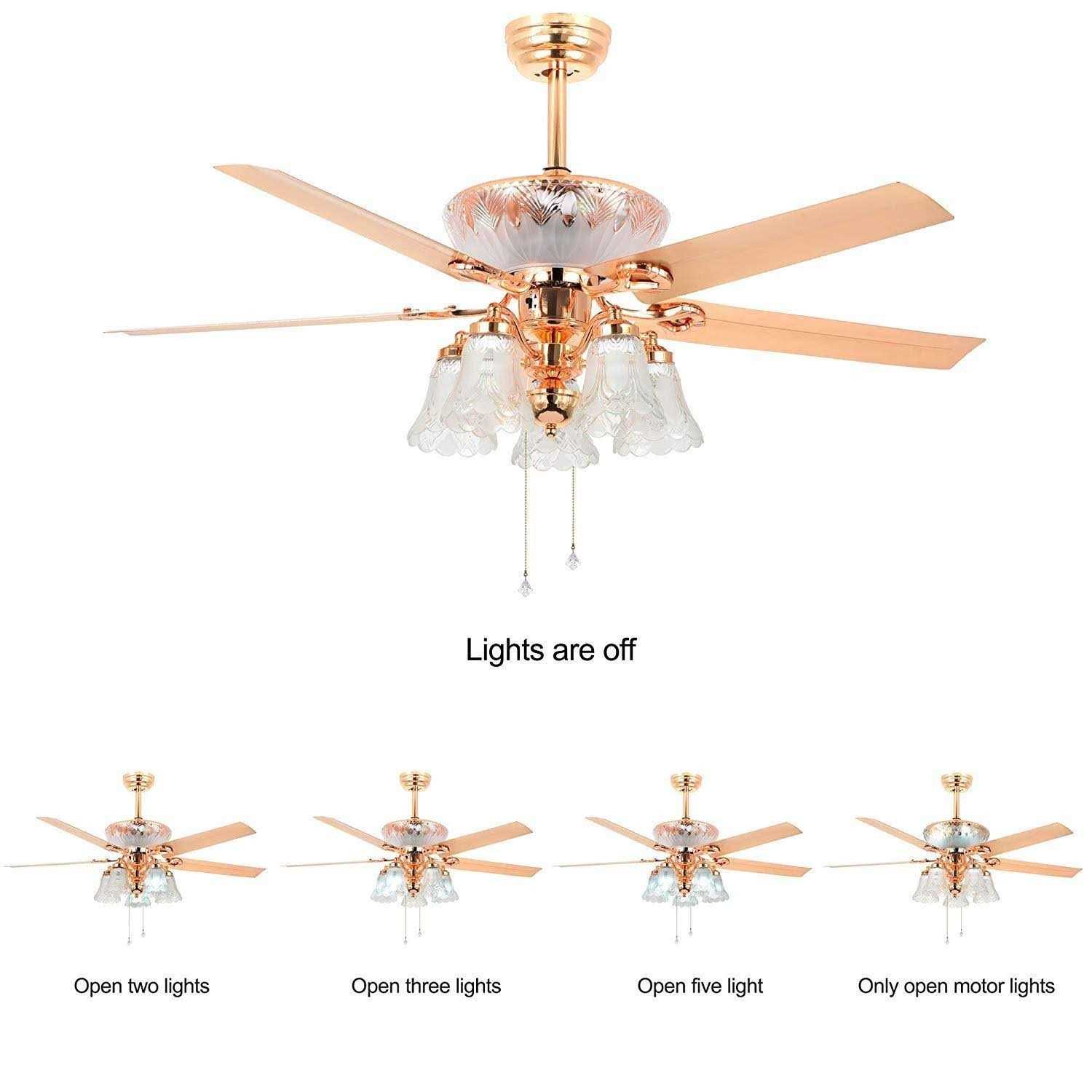 RainierLight Modern Ceiling Fan Remote Control 5 Reversible Metal Blades 5 Frosted Glass Light Kit for Indoor/Bedroom/Living Room LED Fan Chandelier - Image 5